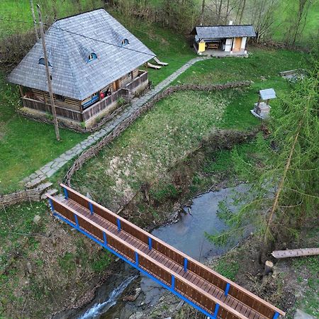 Casa Lu' Ion Villa Vişeu de Sus Dış mekan fotoğraf