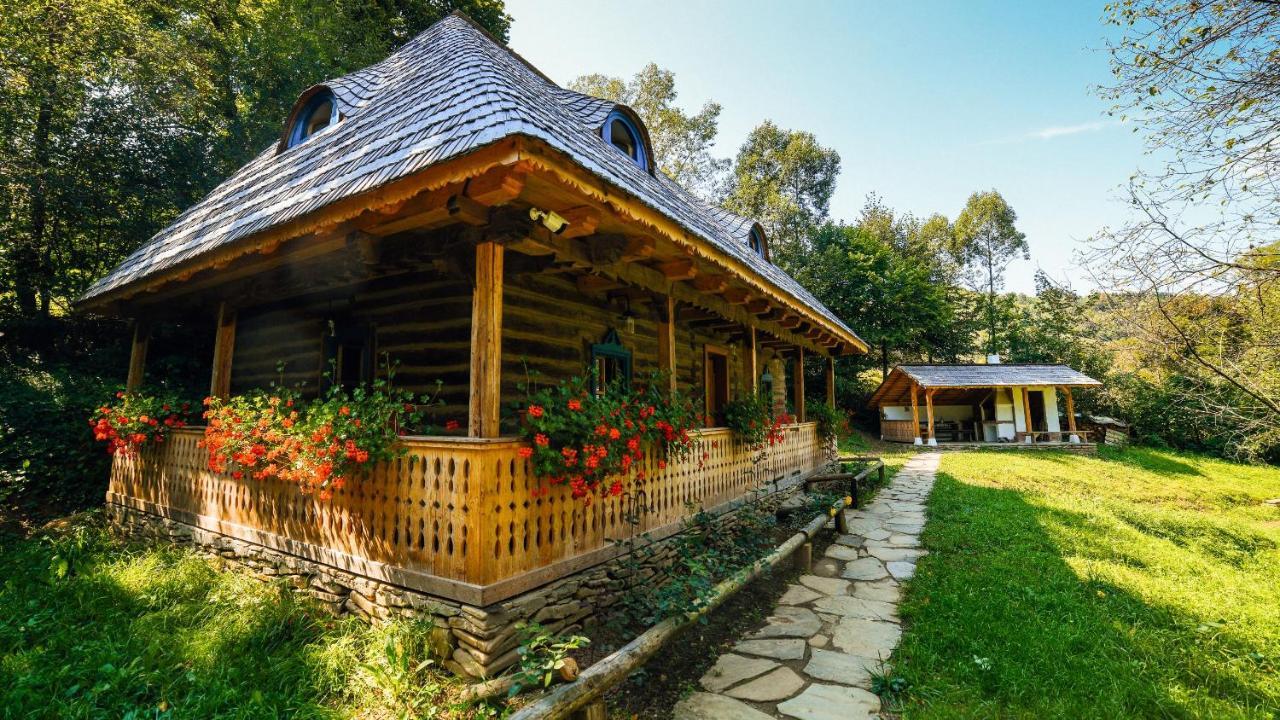 Casa Lu' Ion Villa Vişeu de Sus Dış mekan fotoğraf