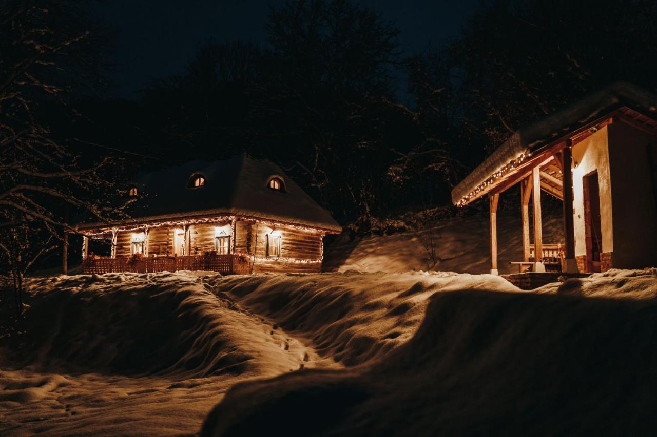 Casa Lu' Ion Villa Vişeu de Sus Dış mekan fotoğraf