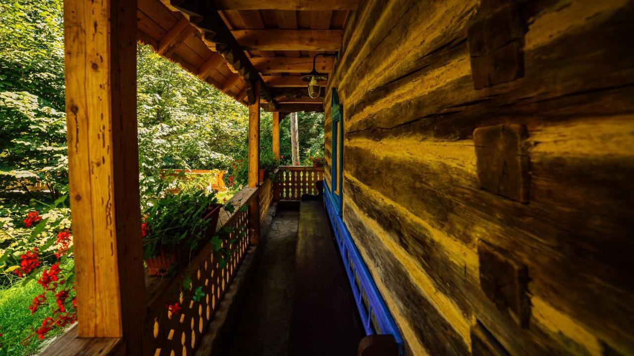 Casa Lu' Ion Villa Vişeu de Sus Dış mekan fotoğraf