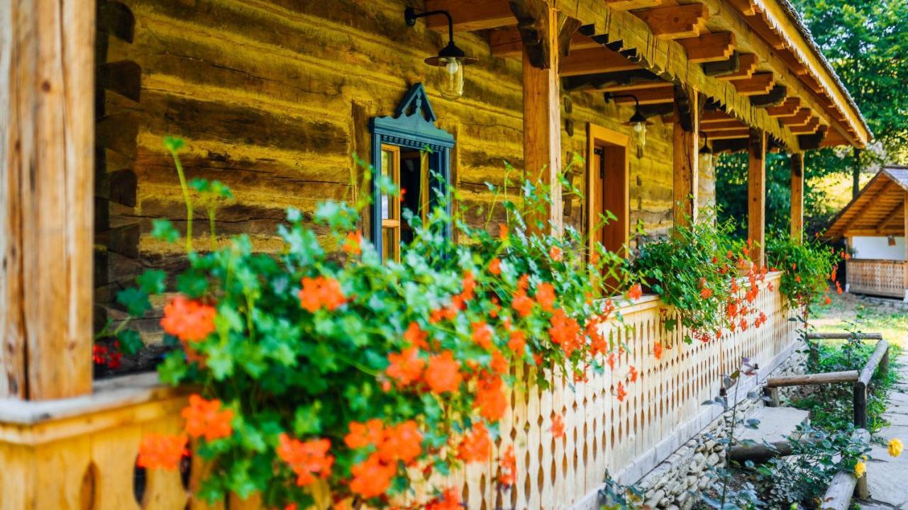 Casa Lu' Ion Villa Vişeu de Sus Dış mekan fotoğraf
