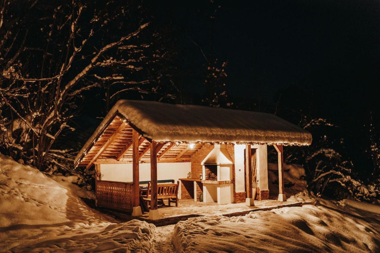 Casa Lu' Ion Villa Vişeu de Sus Dış mekan fotoğraf