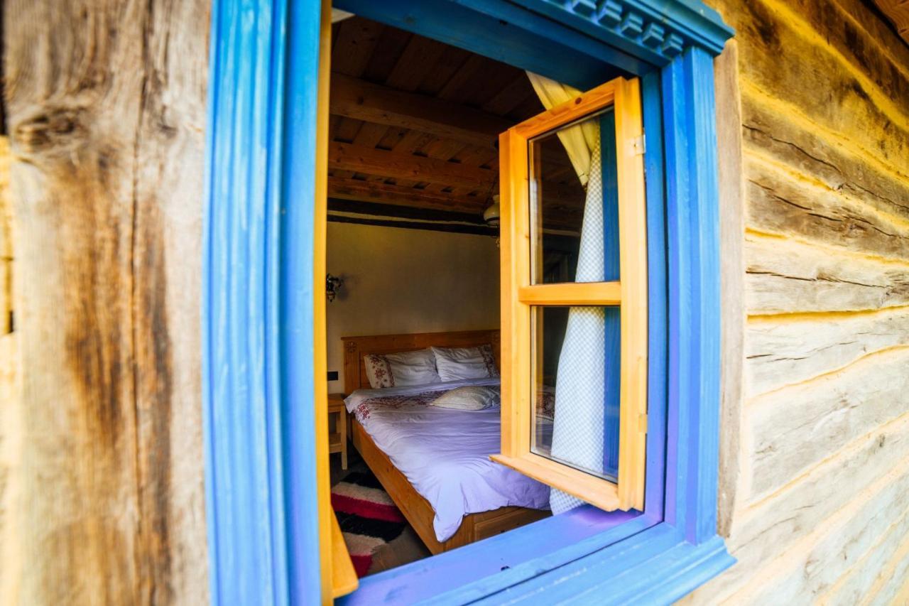 Casa Lu' Ion Villa Vişeu de Sus Dış mekan fotoğraf