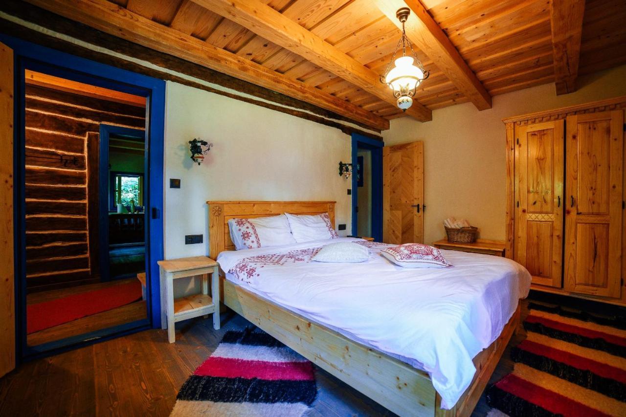 Casa Lu' Ion Villa Vişeu de Sus Dış mekan fotoğraf