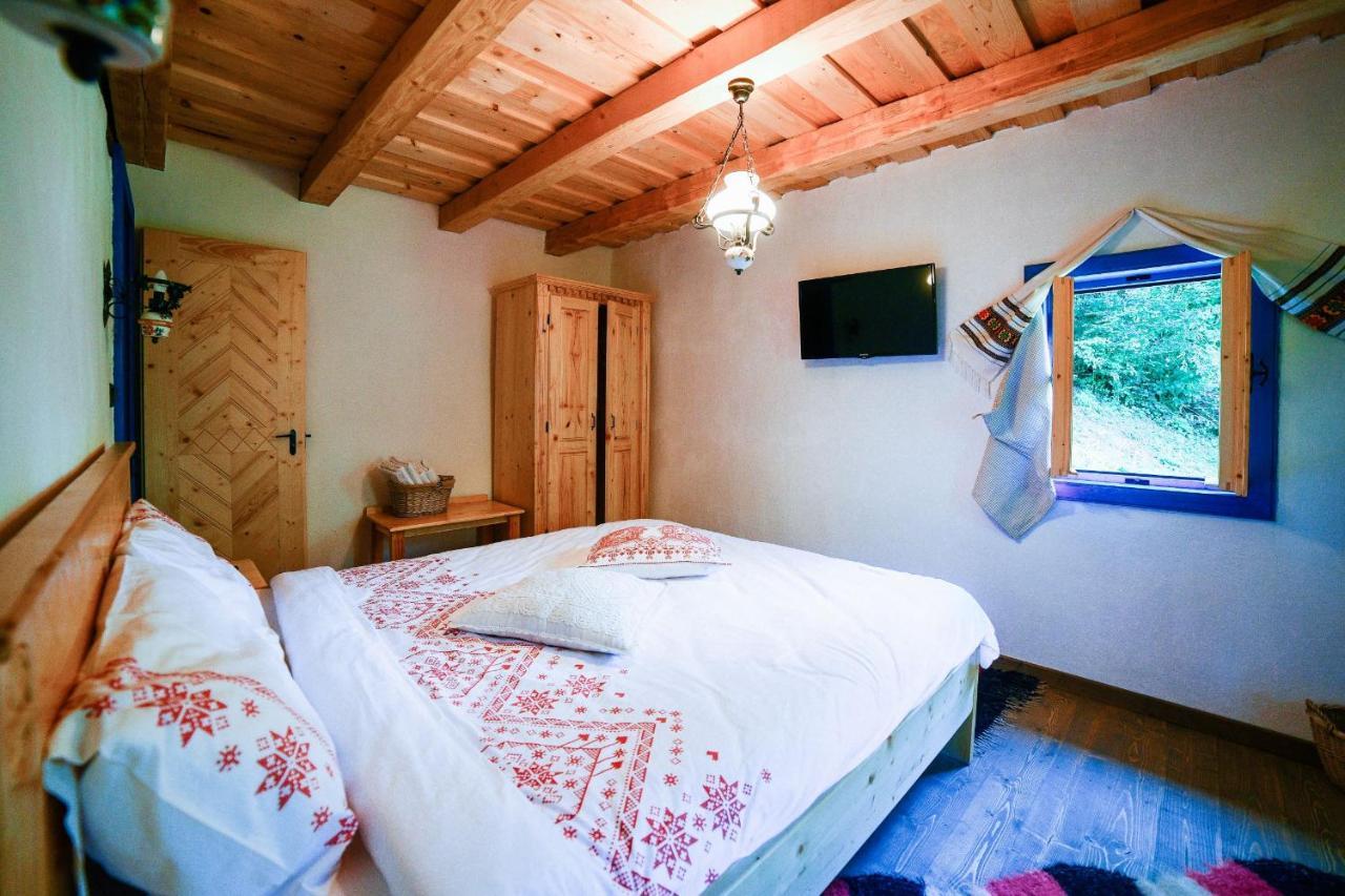 Casa Lu' Ion Villa Vişeu de Sus Dış mekan fotoğraf