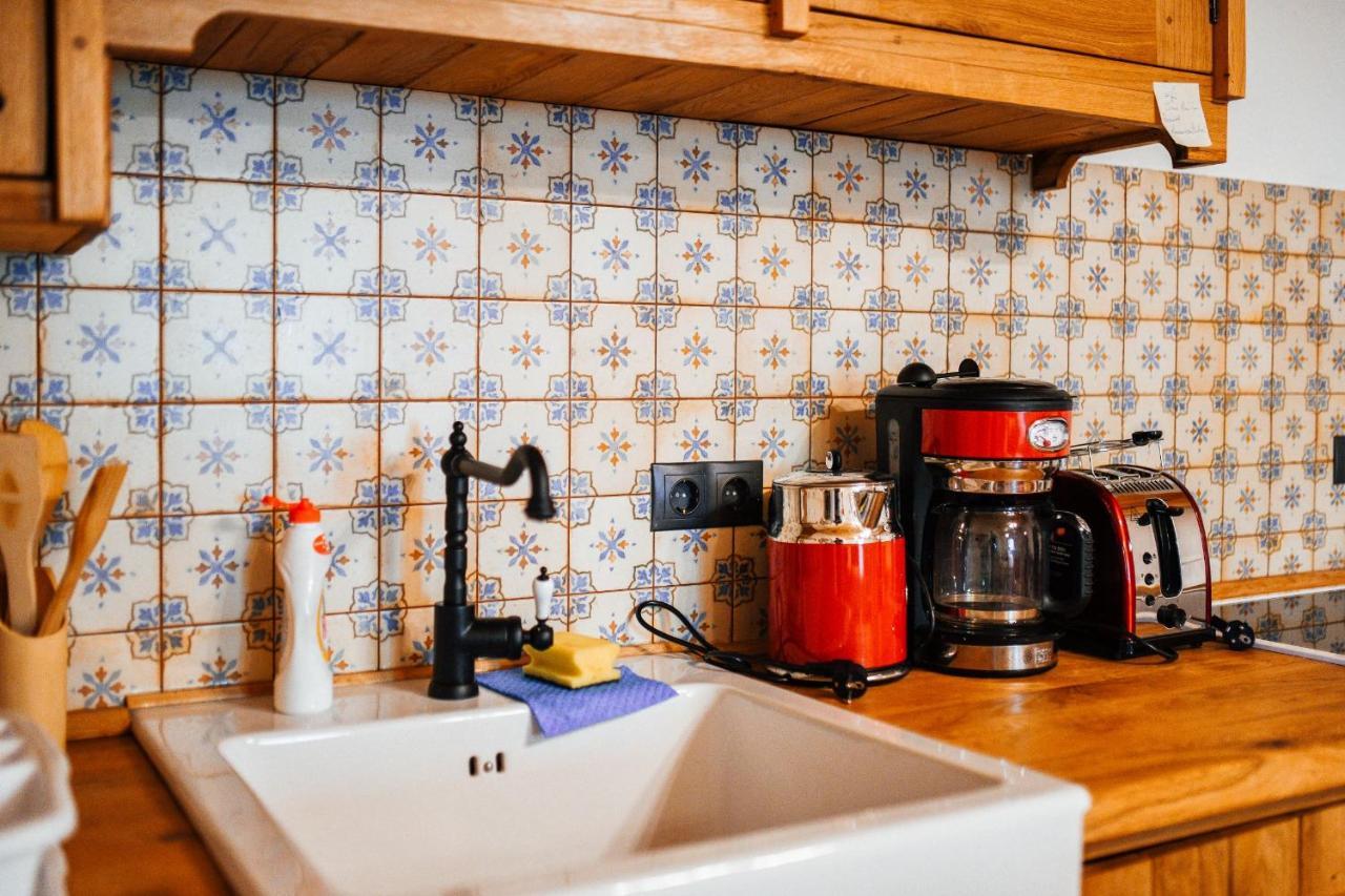 Casa Lu' Ion Villa Vişeu de Sus Dış mekan fotoğraf