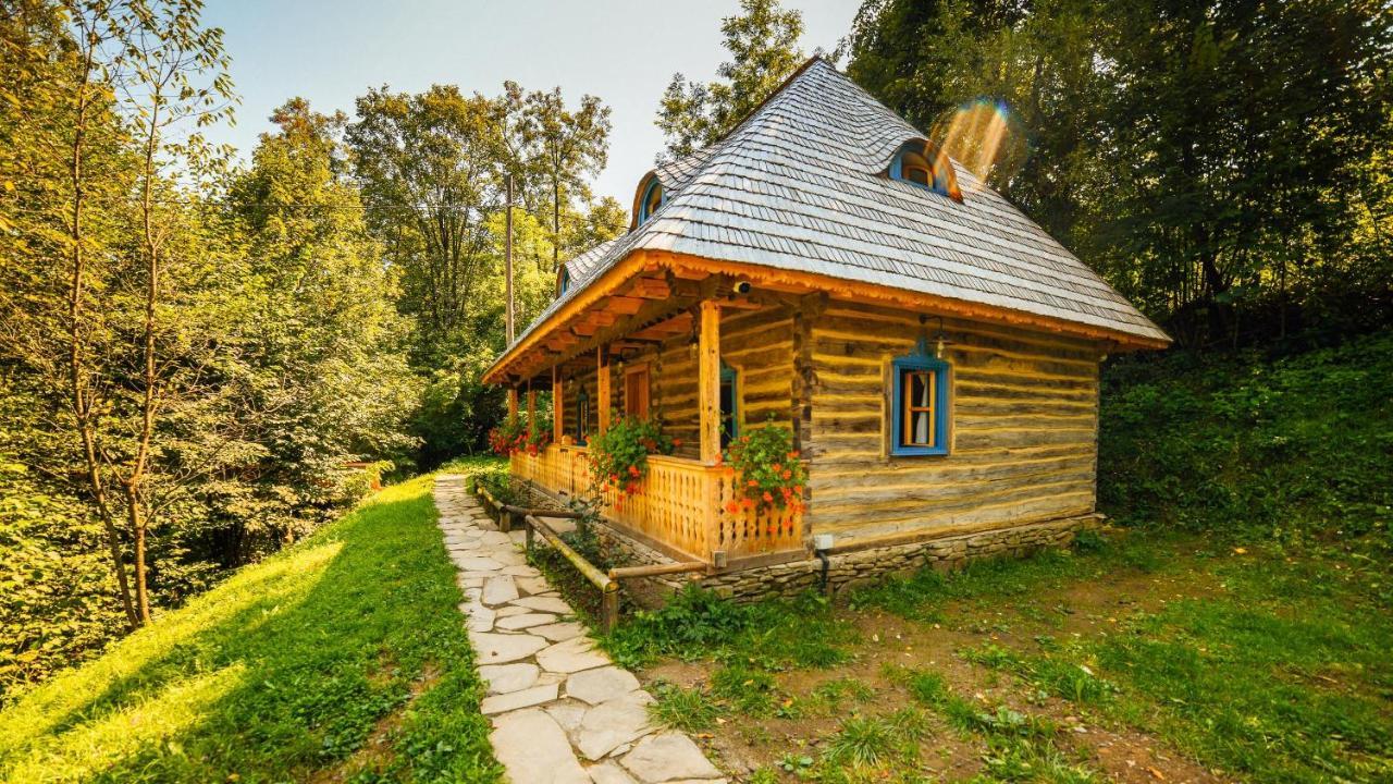 Casa Lu' Ion Villa Vişeu de Sus Dış mekan fotoğraf