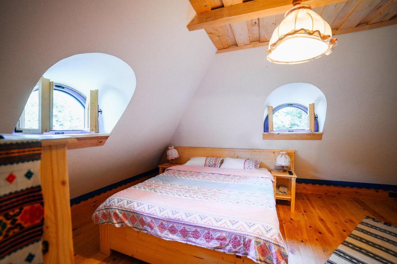 Casa Lu' Ion Villa Vişeu de Sus Dış mekan fotoğraf