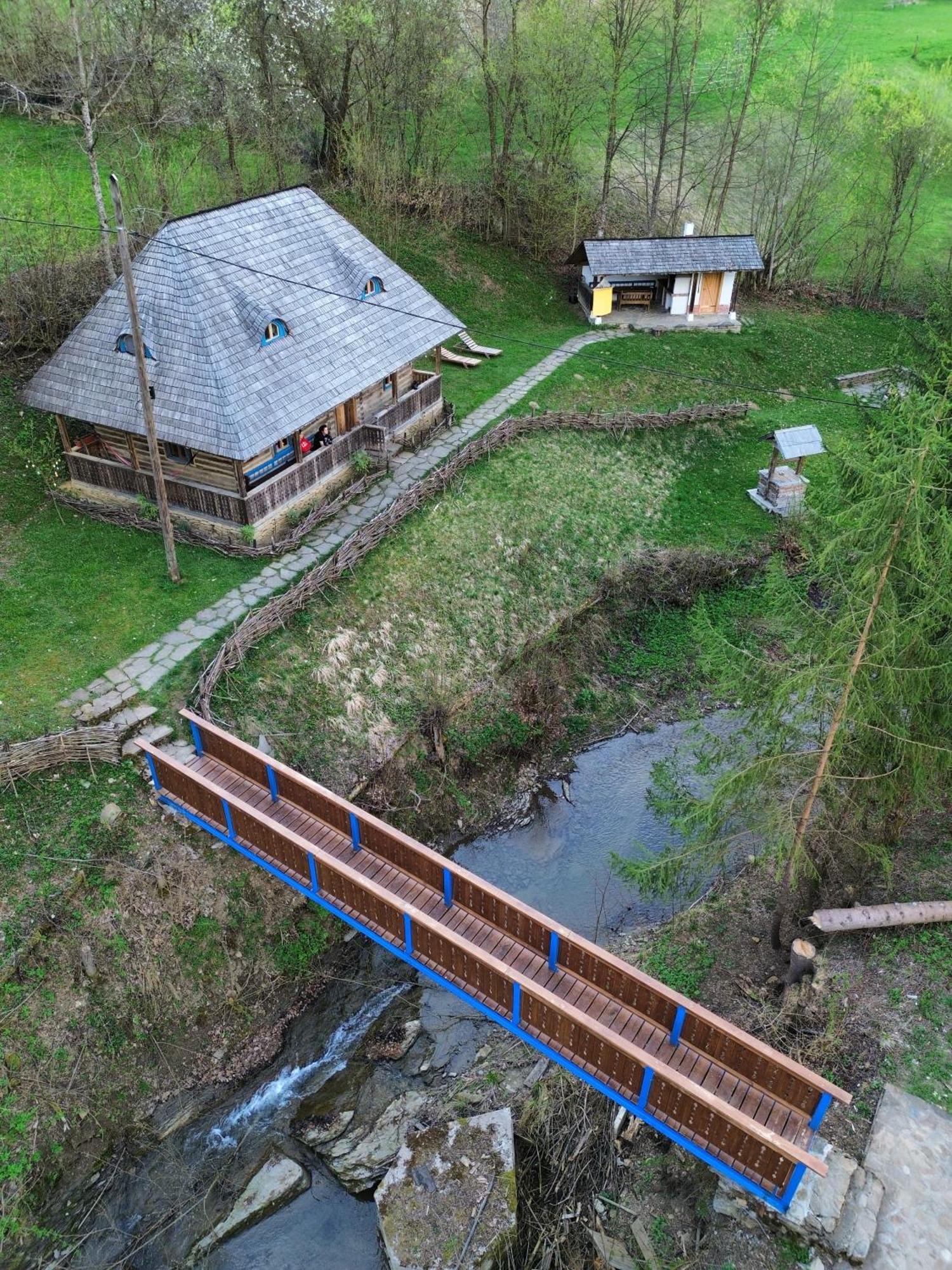 Casa Lu' Ion Villa Vişeu de Sus Dış mekan fotoğraf