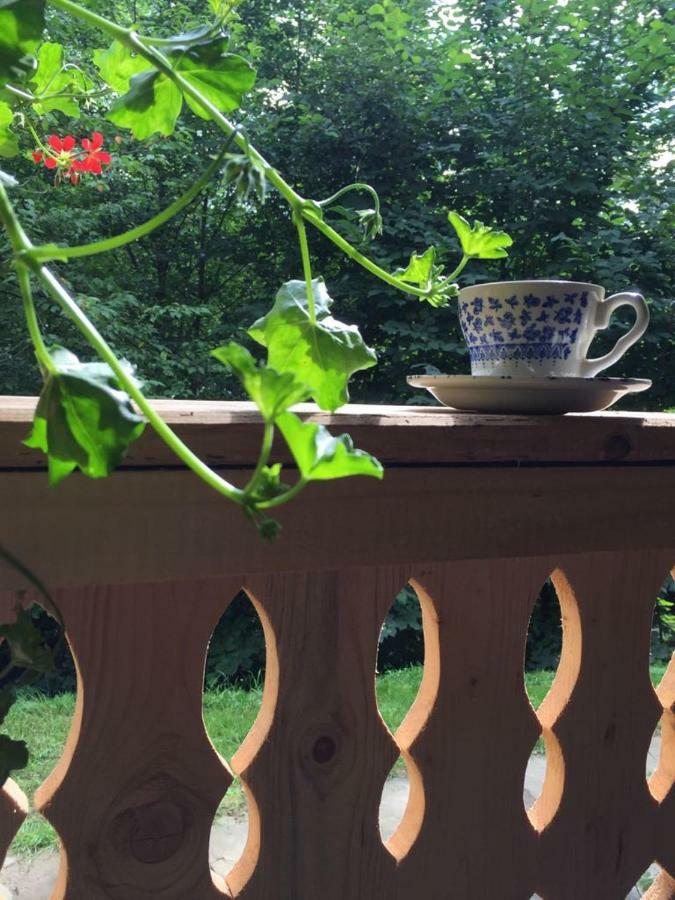 Casa Lu' Ion Villa Vişeu de Sus Dış mekan fotoğraf