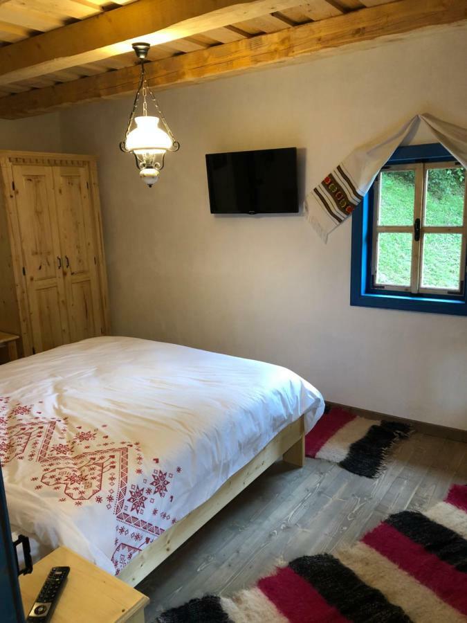 Casa Lu' Ion Villa Vişeu de Sus Dış mekan fotoğraf