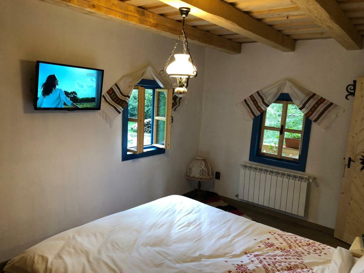 Casa Lu' Ion Villa Vişeu de Sus Dış mekan fotoğraf